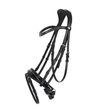 Hoofdstel QHP Lagos Black bij Equidrome