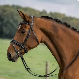 Horka hoofdstel Flamingo bij Wind Ruitersport