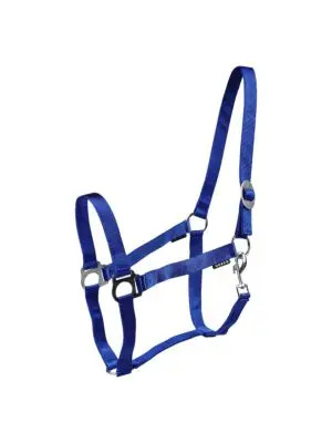 Horka Nylon Halster Drew blauw bij Ruiterstad