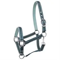 HORSEGEAR HALSTER ZARI Donkergroen bij De Kroo Ruitersport