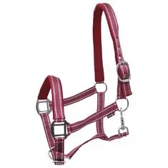 HORSEGEAR HALSTER ZARI Rood-zilver bij De Kroo Ruitersport