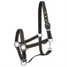 HORSEGEAR HALSTER ZARI Zwart-goud bij De Kroo Ruitersport