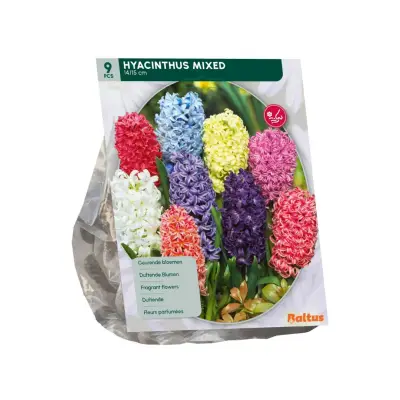 Hyacinth mix 9 stuks bloembollen Baltus bij Warentuin