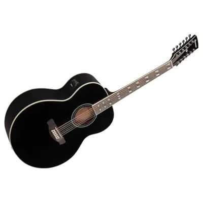 Ibanez AJ7012M1EBK Elektrisch Akoestische Gitaar 12 Snarig bij Brugman Muziek