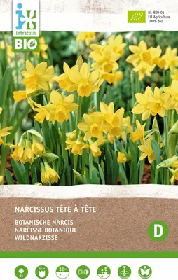 Intratuin biologische bloembollen Narcis (Narcissus 'Tète á Â Tète') 5 stuks bij Intratuin