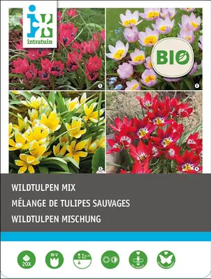Intratuin biologische bloembollen wildtulpen mix 20 st bij Intratuin