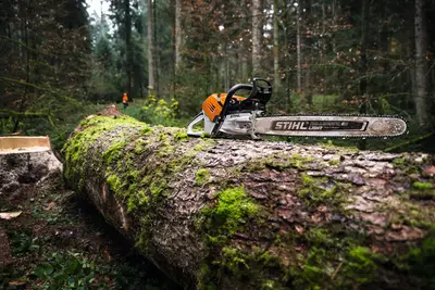 kettingzaag bij Paymans Tuintechniek
