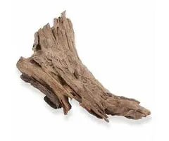 Kienhout / driftwood bij OnlineAquariumSpullen