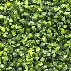 Kunstplanten mat 50x50 cm buxus geel Buitengewoon de Boet bij Warentuin
