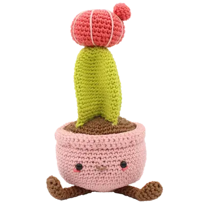 Maan Cactus haakpakket bij Wolwinkel Van Draad