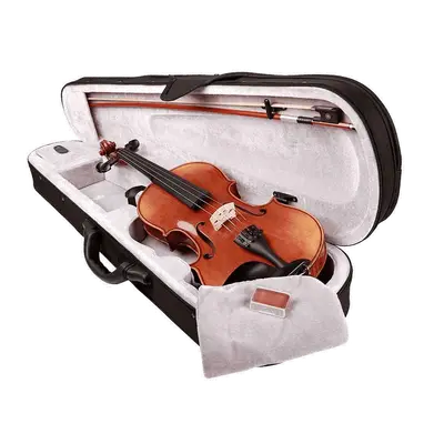 Main V2M 3/4 viool Pro-Line bij Music All In