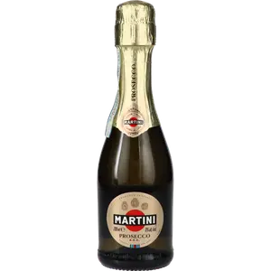 Martini Prosecco Klein bij Drankgigant