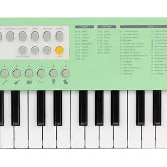 Medeli MK1/GN keyboard bij De Krijger Muziek