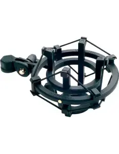 MICROFOON bij Schreeven Muziekinstrumenten