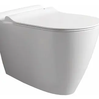 Mineraal hangtoilet mat wit bij Sanitear