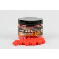 Mini Boilie In Pot|Strawberry | 9mm | 100gr bij Viskick