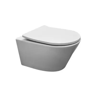 Mueller Afesta mat wit randloos toilet inclusief softclose zitting bij Sanitairkamer