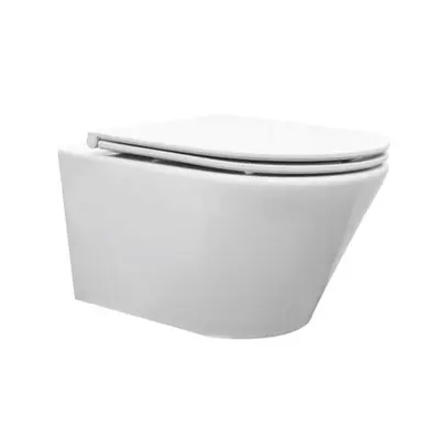 Mueller Afesta toiletpot randloos met platte softclose zitting bij Sanitairkamer