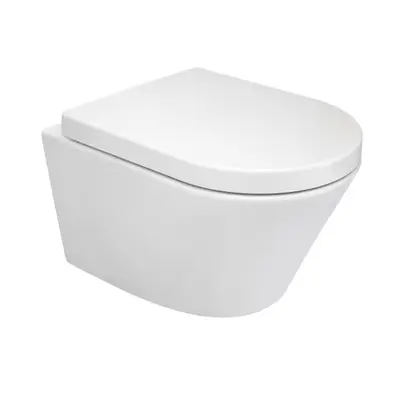 Mueller Afesta toiletpot randloos met softclose zitting bij Sanitairkamer