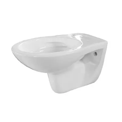 Mueller Pluto randloos toiletpot zonder zitting wit glans bij Sanitairkamer