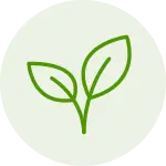NOW Biotica 4x6 vh probiotica 60 vcaps bij Superfoodstore