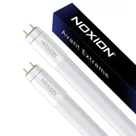 Noxion LED TL Buizen (T8) Avant Extreme | HF bij Lampdirect