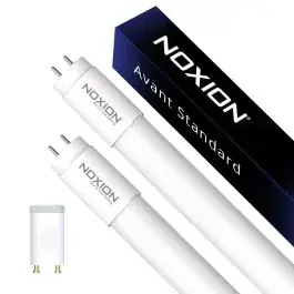 Noxion LED TL Buizen (T8) Avant Standard | EM/Mains bij Lampdirect