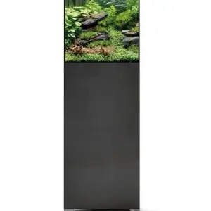Oase StyleLine 85 zwart set bij Ocean and Lake