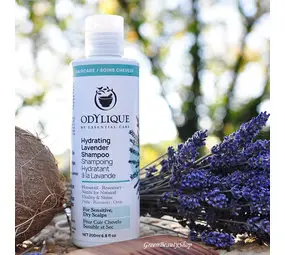 Odylique Hydraterende Lavendel Shampoo bij The Green Beauty Shop