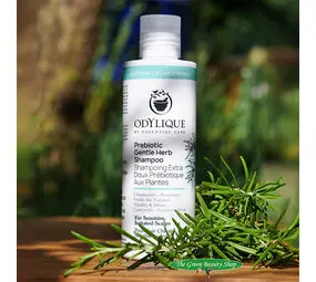 Odylique Prebiotische Milde Kruiden Shampoo bij The Green Beauty Shop