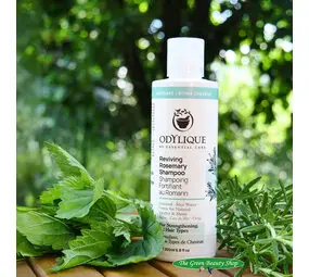 Odylique Revitaliserende Rozemarijn Shampoo bij The Green Beauty Shop