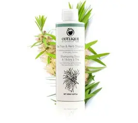 Odylique Tea Tree & Kruiden Shampoo bij The Green Beauty Shop