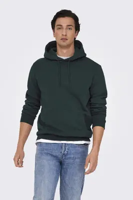 ONSCERES HOODIE SWEAT NOOS 22018685 Pine Grove bij Sans
