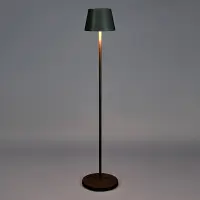 Oplaadbare vloerlamp | 124 cm | 2200K - 2700K | Dimbaar | Afstandsbediening | IP54 | Zwart bij 123led
