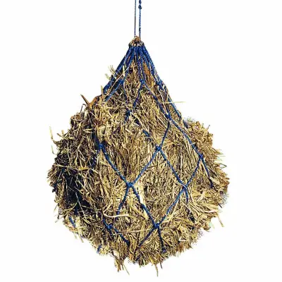 Pagony hooinet nylon blauw bij Paardensportwebshop