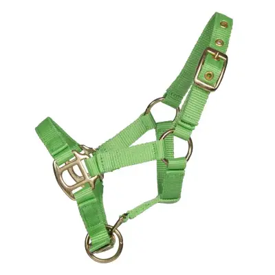 Pagony Lucky veulenhalster groen maat:3 bij Paardensportwebshop