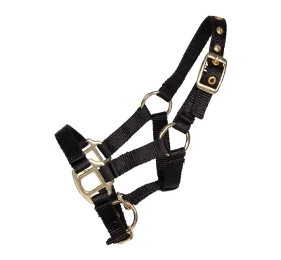 Pagony Lucky veulenhalster zwart maat:3 bij Paardensportwebshop