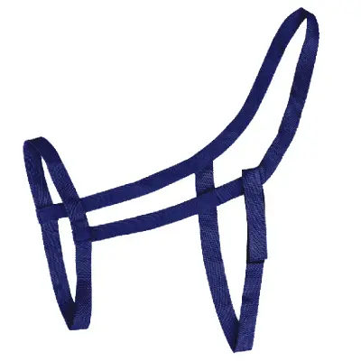 Pagony Weide Halster blauw maat:full bij Paardensportwebshop