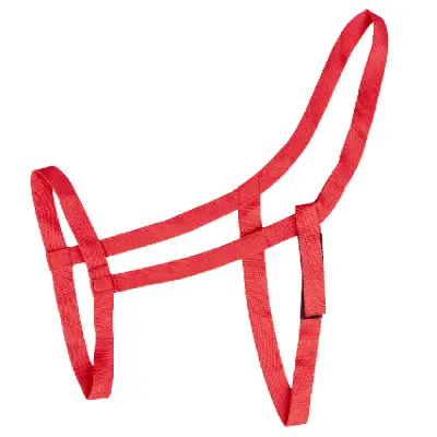 Pagony Weide Halster rood maat:pony bij Paardensportwebshop