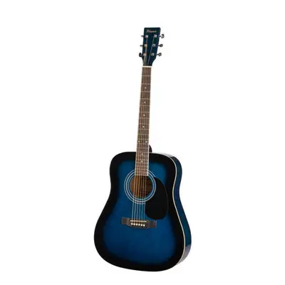 Phoenix 001 Akoestische Gitaar Blauw Sunburst bij VDS Instrumenten