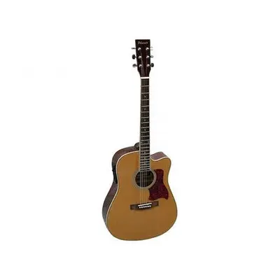 Phoenix 002 CE Akoestische Gitaar naturel bij VDS Instrumenten