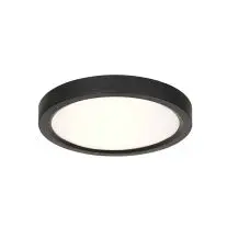 Plafondlamp d:20 cm zwart IP44 1500lm CCT bij Lampidee