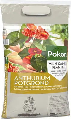 Pokon Anthurium potgrond 5 L bij Intratuin