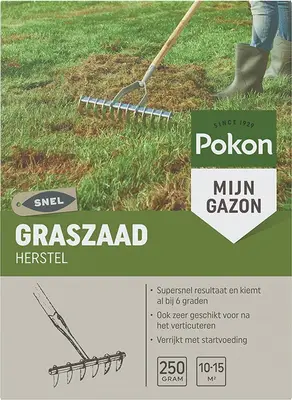 Pokon graszaad herstel 12,5 m2 bij Intratuin