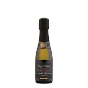 Ponte Villoni - Prosecco - 0.2L bij Bovino