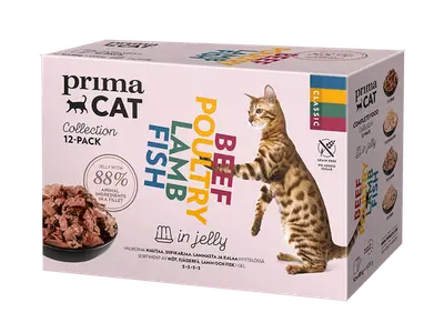 PrimaCat voordeelpakket natvoer in gelei 12 x 85 gram - natvoer voor katten bij Prima Diervoeding