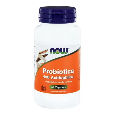 Probiotica 4x6 Acidophilus (60 capsules) bij Vitaminadviceshop