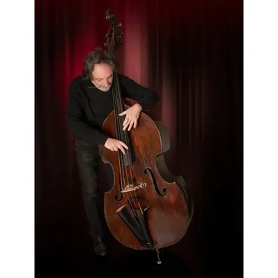 Prodipe BL21 Microfoon voor Contrabas bij Westerhaven Muziek (Groningen)