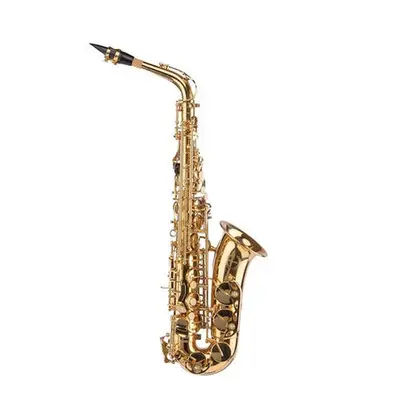 Purcell Alto Sax High Grade alt saxofoon met koffer bij VDS Instrumenten