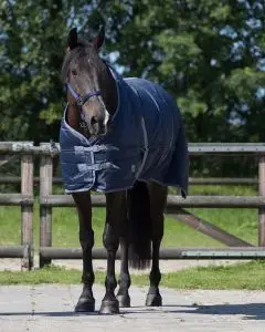 QHP Deken stal Start Nylon 150gr - Donkerblauw bij Ruitersport.com (Almar)